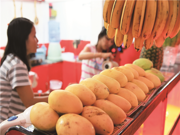 [$55상당특전/시내관광+발마사지] 세부 알테라 디럭스 3박5일