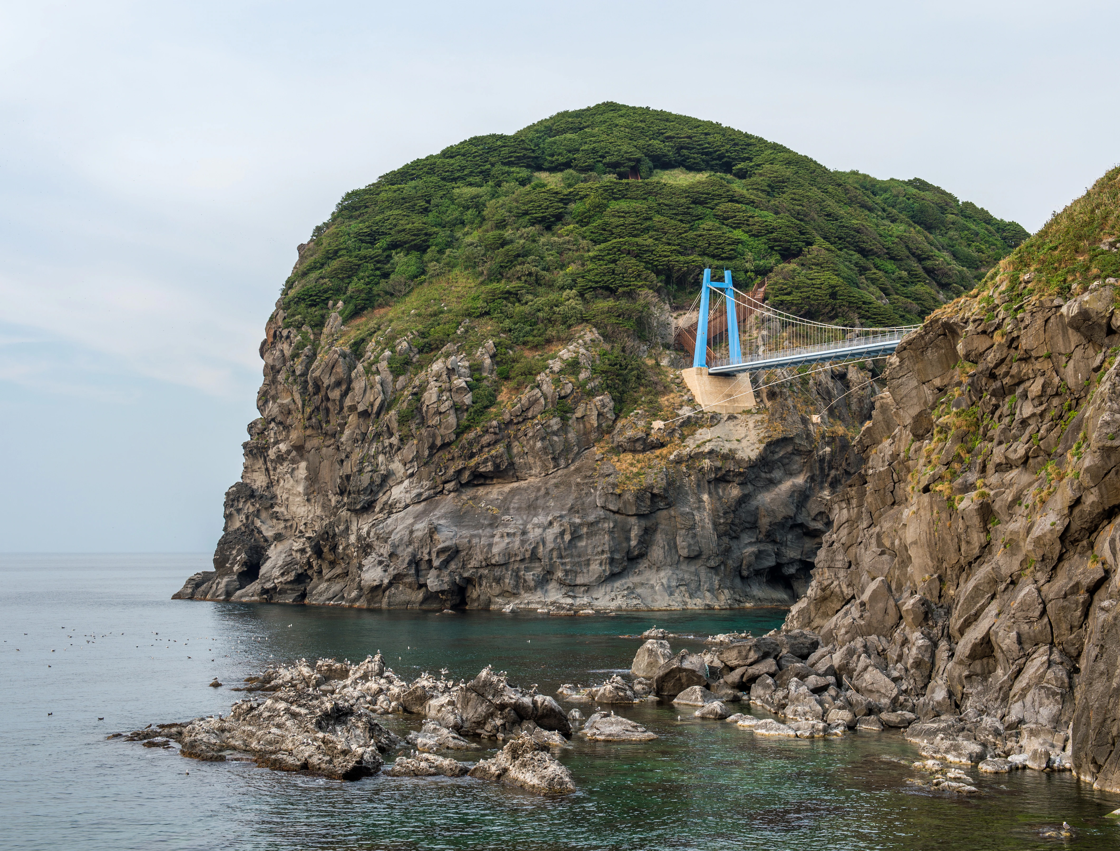 [포항영일만신항] 울릉도 독도4일 ＜대형크루즈/선박텔/라페루즈리조트/육로A,B코스/올식사포함＞