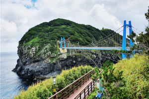 [묵호항] 울릉도 3일 ＜쾌속선/모텔급/육로A,B코스/천부해중전망대＞