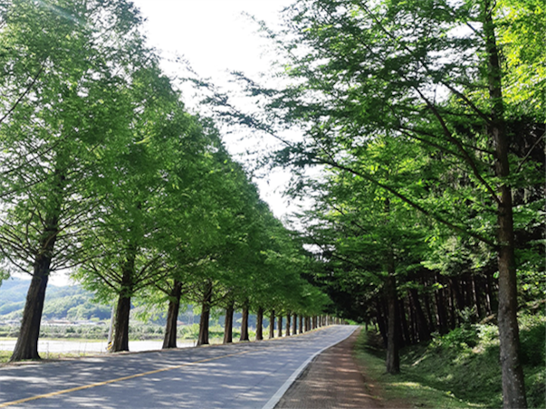 전라도 진안 전주 당일여행 ＜마이산여행/연인의길＞
