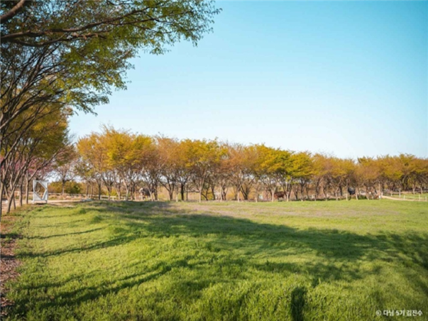 [2인부터단독행사][서해금빛열차+예산관광택시] 충청도 예산 당일여행