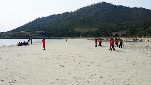 [KTX/목포항] 홍도 흑산도 비금도초도 3일 ＜쾌속선/모텔급/홍도유람선/비금도초도 육로관광＞