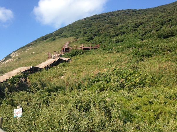 [SRT/목포항] 홍도 흑산도 2일 ＜쾌속선/모텔급/홍도유람선＞