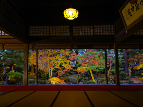 [마음이 머무는 한 잔, 쌀의 고장 니가타] 니가타/츠키오카 온천/나가오카 4일(전일/양조장탐방/2대특식/노쇼핑)