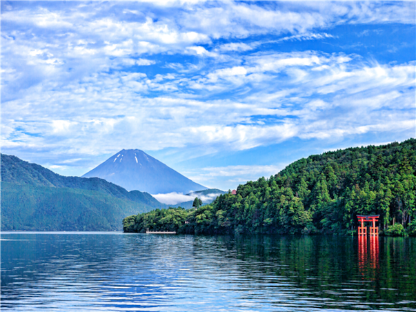 [출발확정][NEW시즈오카] 후지산/하코네/시즈오카/도쿄/오다이바 4일(전일관광/온천호텔1박/트윈룸)