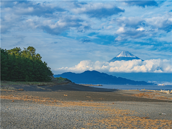 [메가세일][실속픽_하코네] 시즈오카/하코네/도쿄 4일(1일자유/1일대욕장/세미더블)