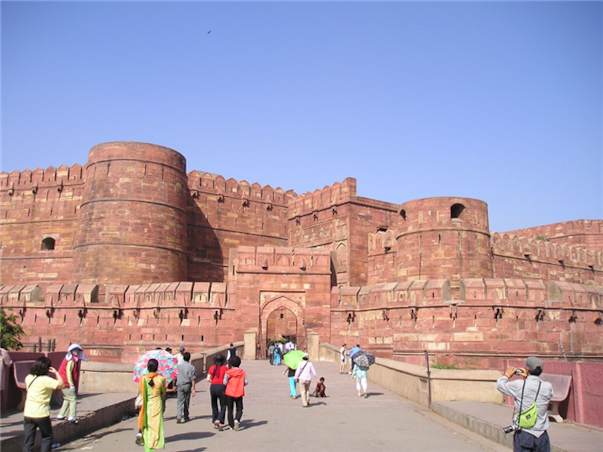 [대한항공] 준특급 블루시티와 핑크시티가 공존하는 서인도 라자스탄 일주 9일