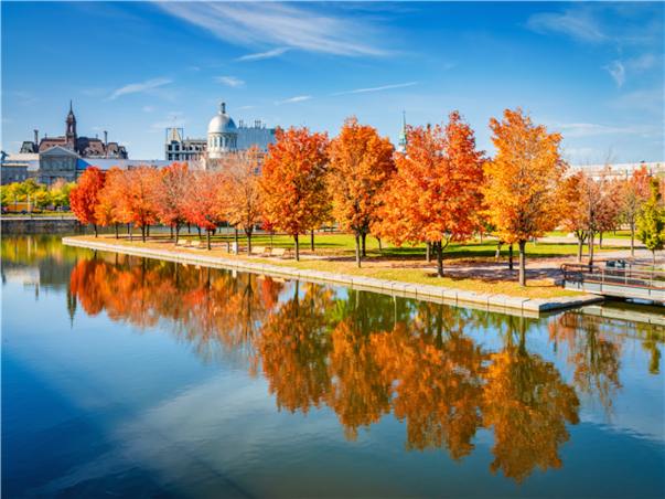 [노쇼핑] 미동부 캐나다10일 ＜힐튼나이아가라20층이상폭포뷰/올드퀘벡숙박/뉴욕/워싱턴/몬트리올/아울렛＞