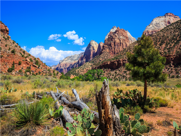[출발확정] 미서부 완전일주 10일 ＜3대도시/5대캐년/라스2박＞
