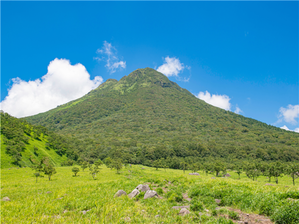 [후쿠오카 자유 3일] 더 비(THE B) 하카타 호텔급 (더블룸/하카타역도보5분)