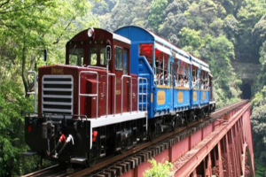 [출발확정][오색단풍, 완벽조합 가을큐슈] 후쿠오카/유후인/벳부/아소 4일 (신상료칸호텔/대게뷔페식/술음료무제한)