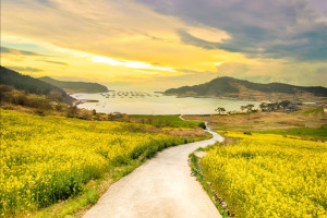 [KTX-모텔] 완도 보길도 청산도 1박2일 